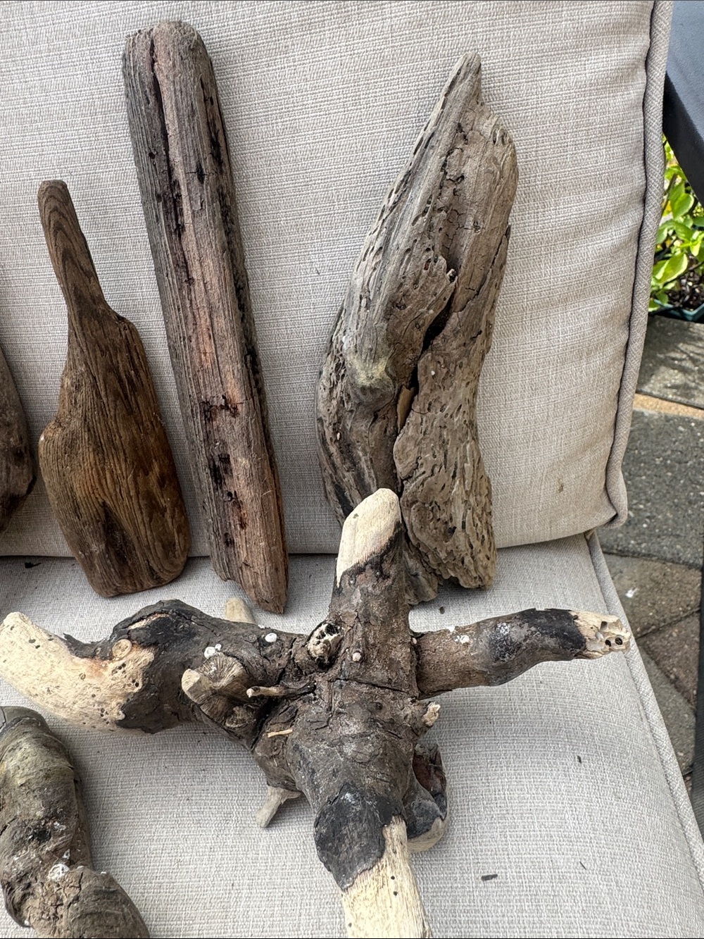 For LYNDA 19 pc (5 lb shipped) Natural Driftwood for Craft, Projects, Upcycle - Picture 7 of 16
